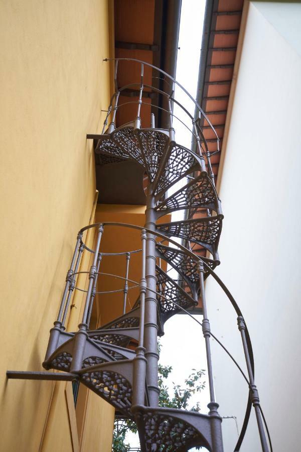 Nest Florencia